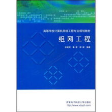 组网工程 计算机系统集成的理论与实践